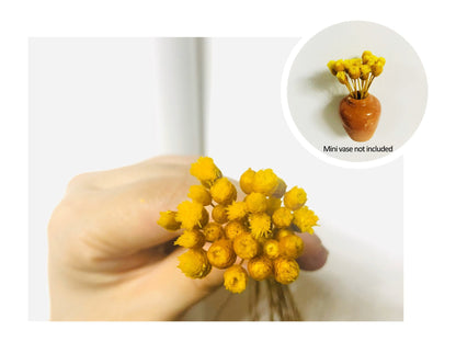 🎁Create Your Own Mini Garden🌸Mini Ceramics Vase Fridge Magnet