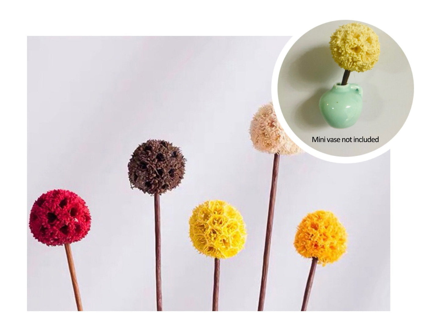 🎁Create Your Own Mini Garden🌸Mini Ceramics Vase Fridge Magnet