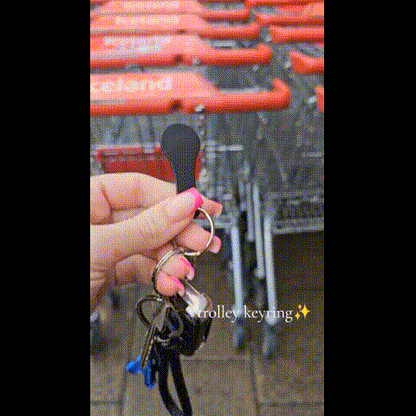 Mini Aluminum Alloy Key Ring Shopping Trolley Tokens(3Pcs)