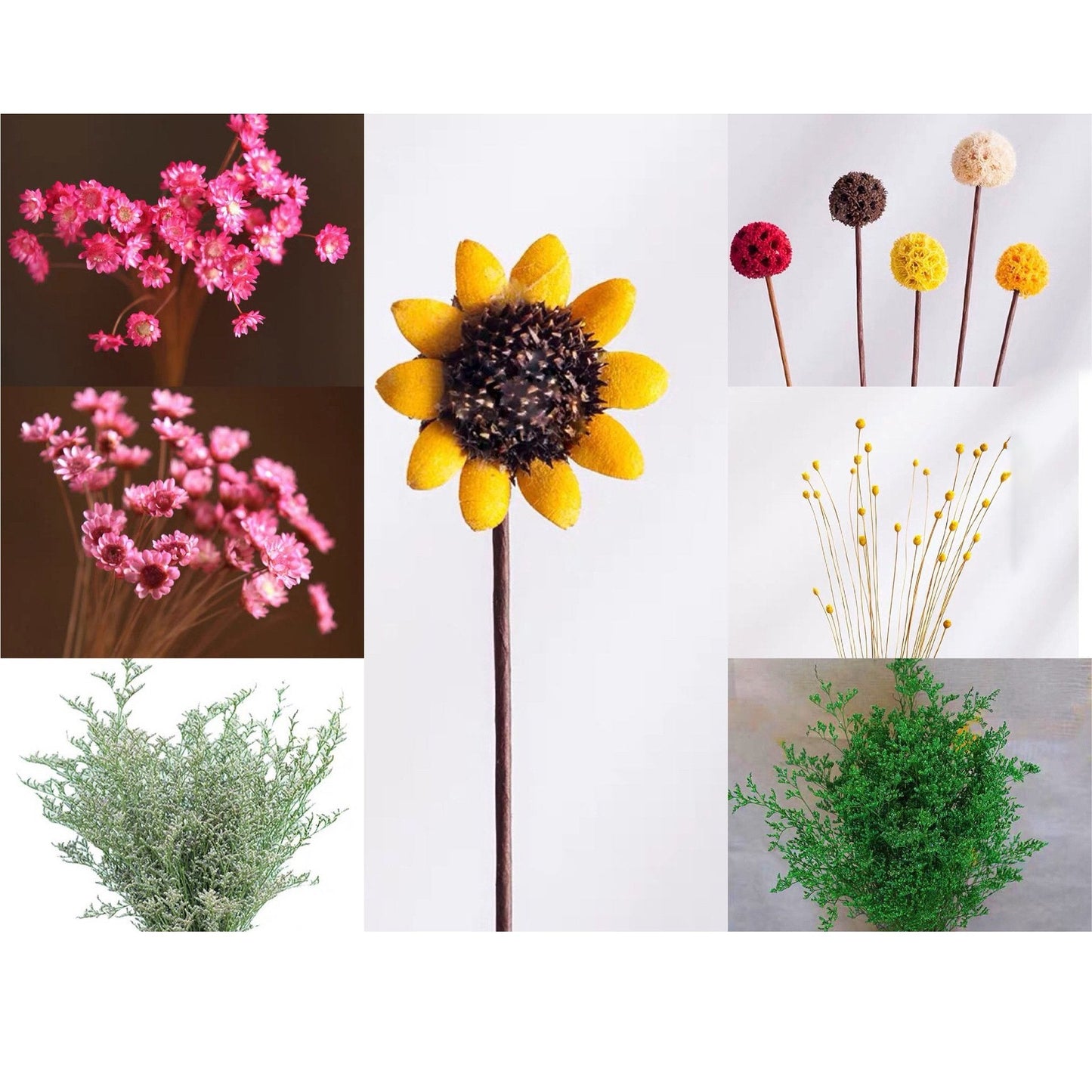 🎁Create Your Own Mini Garden🌸Mini Ceramics Vase Fridge Magnet