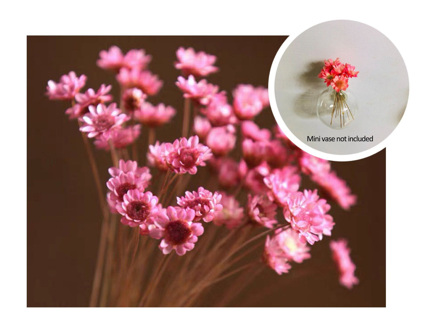 🎁Create Your Own Mini Garden🌸Mini Ceramics Vase Fridge Magnet