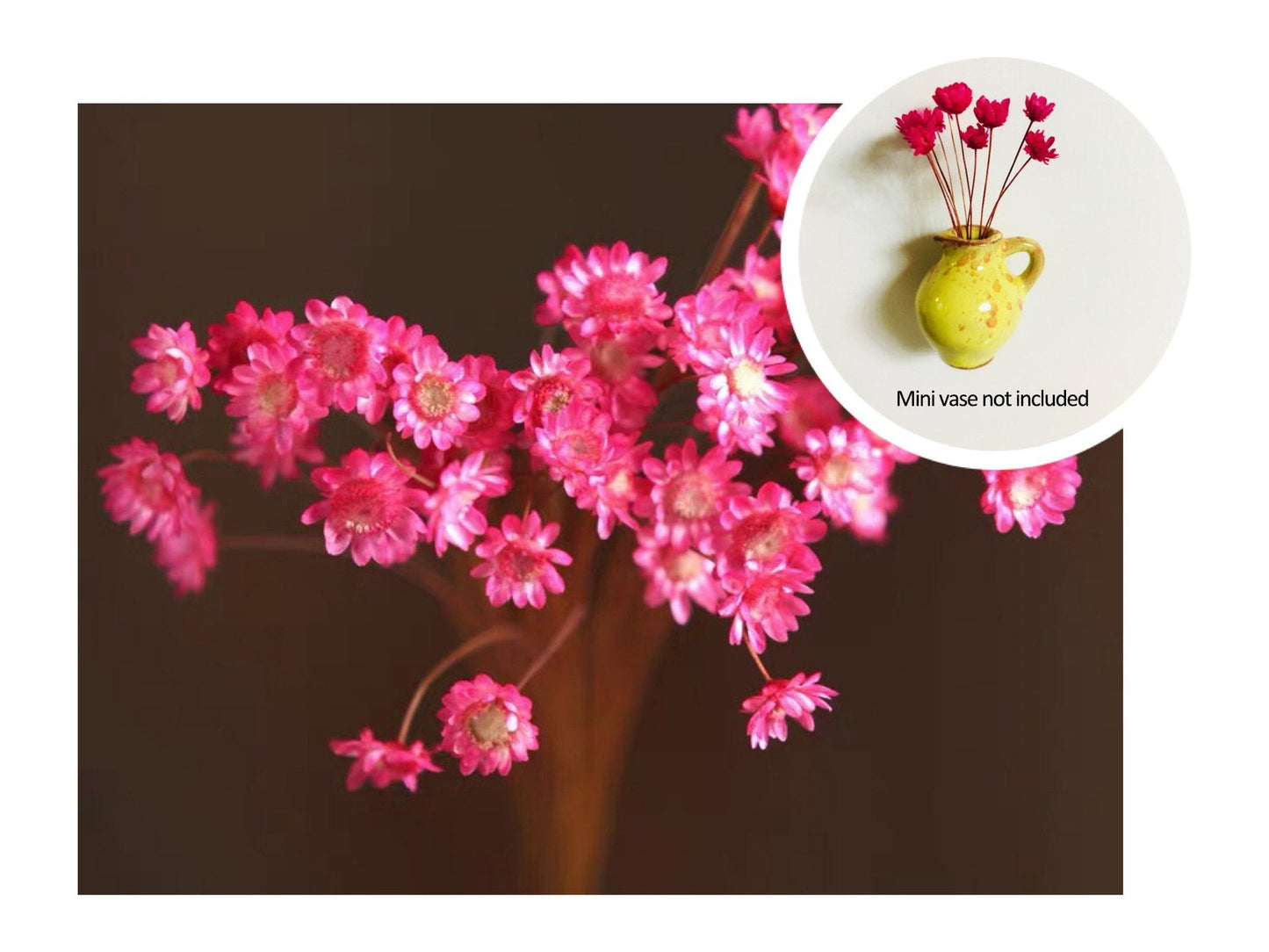 🎁Create Your Own Mini Garden🌸Mini Ceramics Vase Fridge Magnet