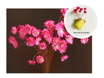 🎁Create Your Own Mini Garden🌸Mini Ceramics Vase Fridge Magnet
